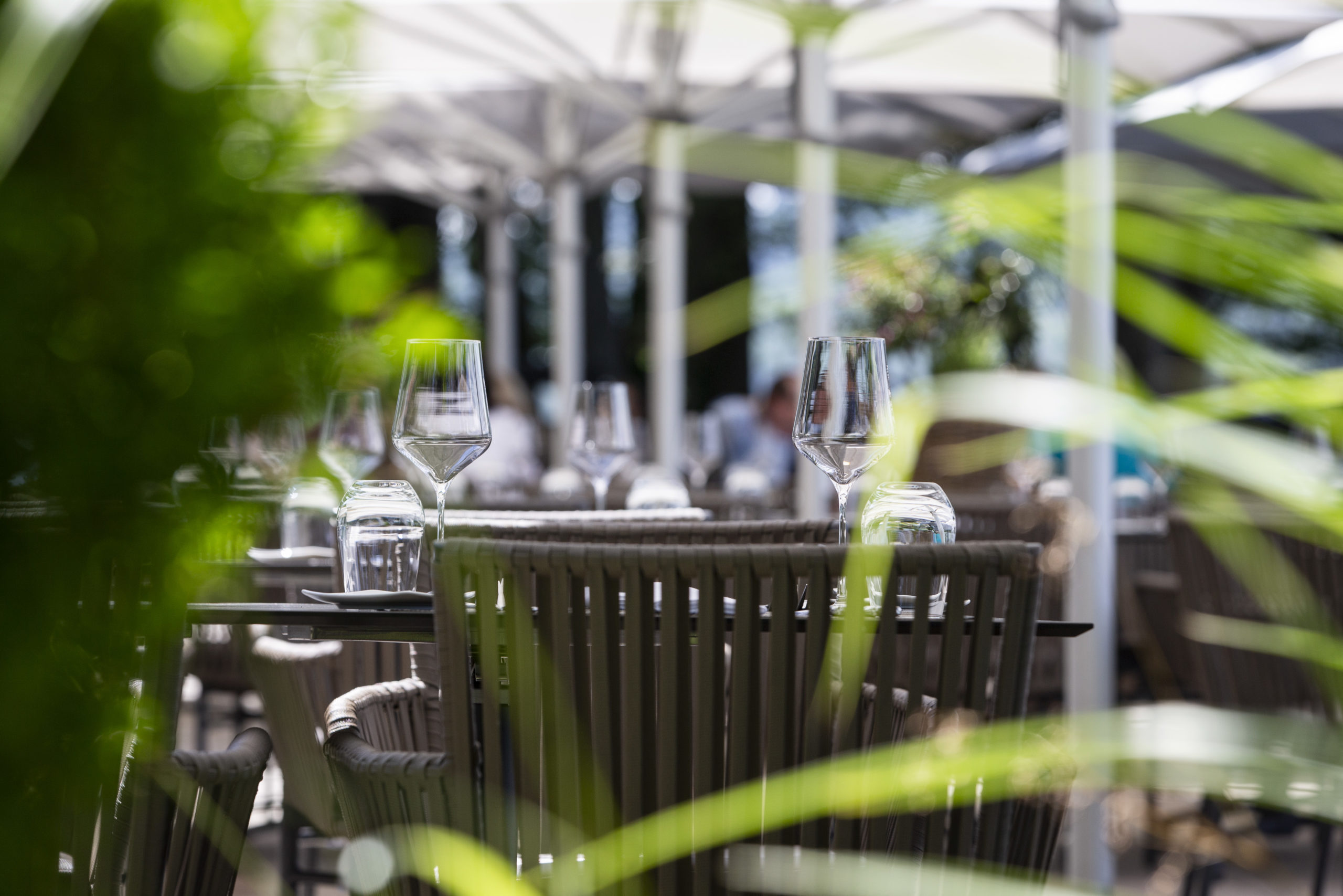 Restaurant Kulinarik im See & Park Hotel Feldbach in Steckborn